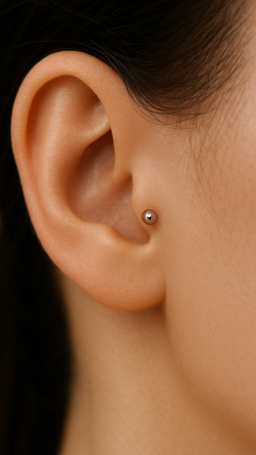 Piercing trágus bolinha