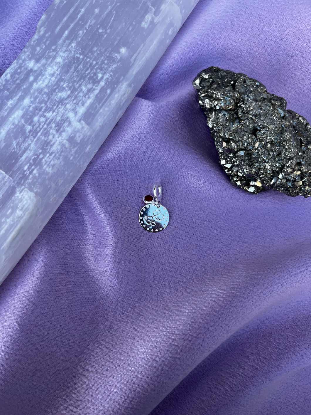 Pingente Medalha Dog P. de Luz Vermelho