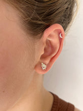 Carregar imagem no visualizador da galeria, Brinco Folha Nature
